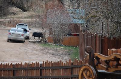 Прикрепленное изображение: rDSC_0115.jpg